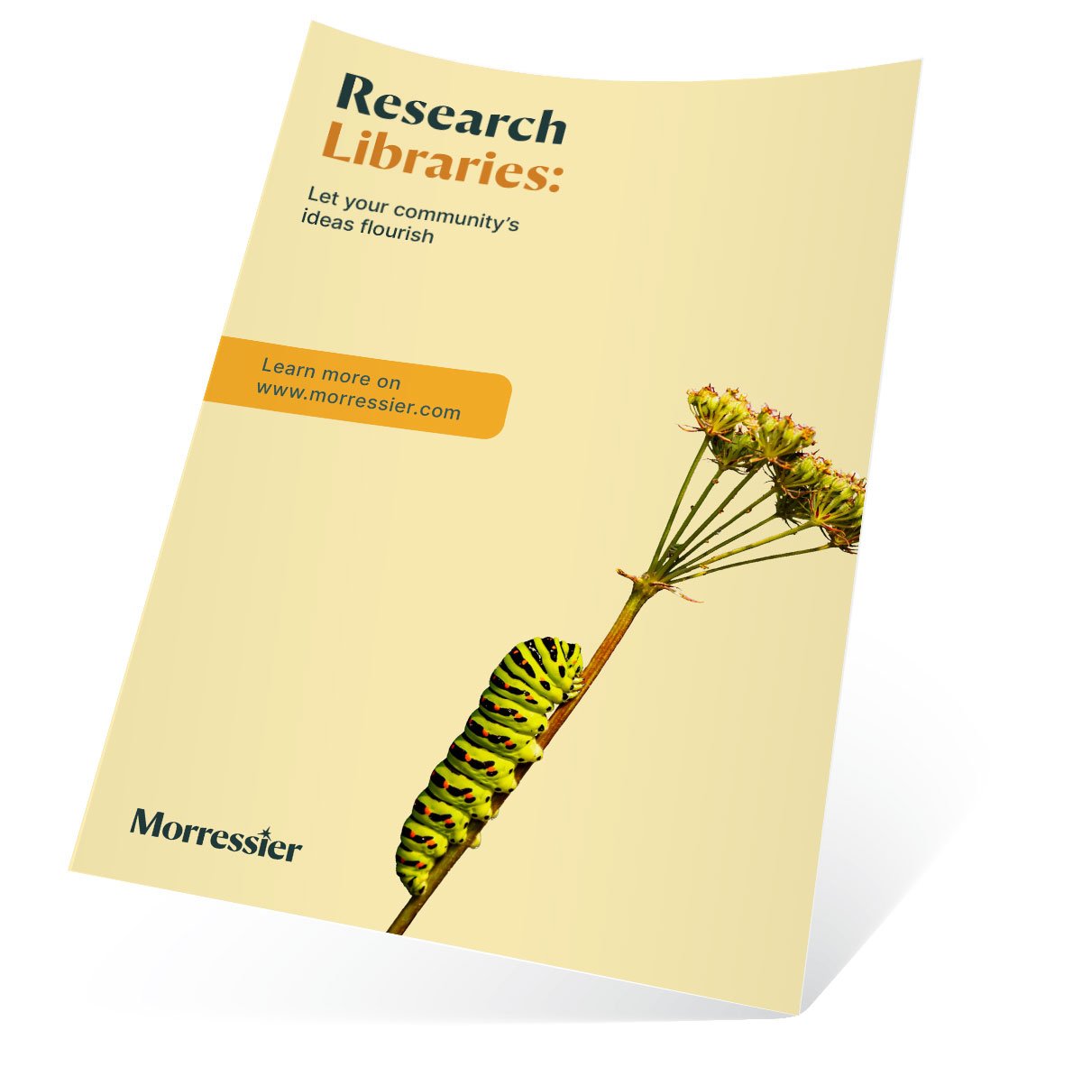 product-sheets-transparent-product-catalog-research-lib