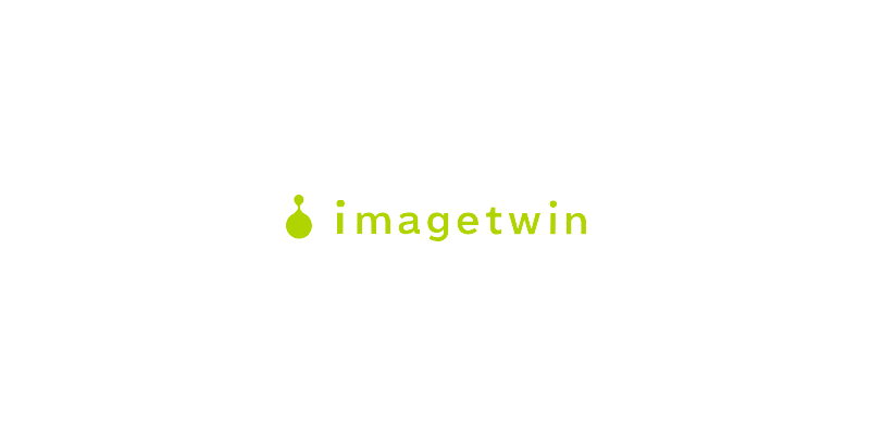 19 logo imagetwin